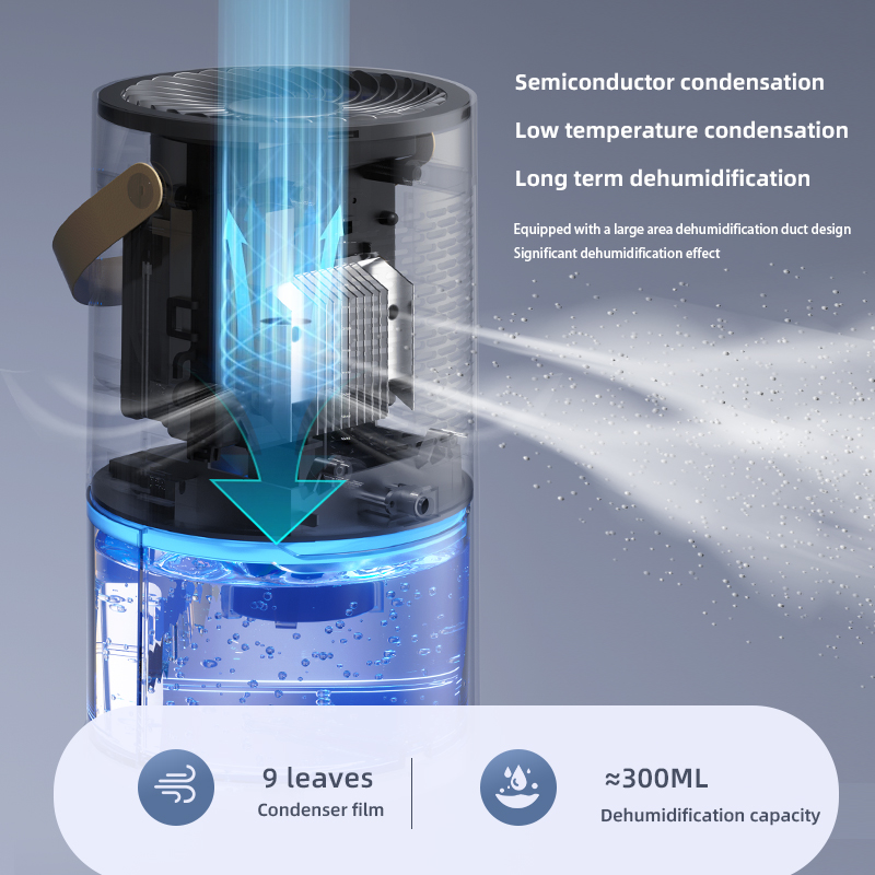 1000ml Dehumidifier Air Dryer  - Idli Steamer Mold review and price